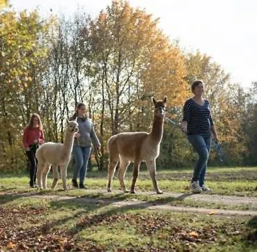 Niedergerner Alpaka Ranch * Haiming